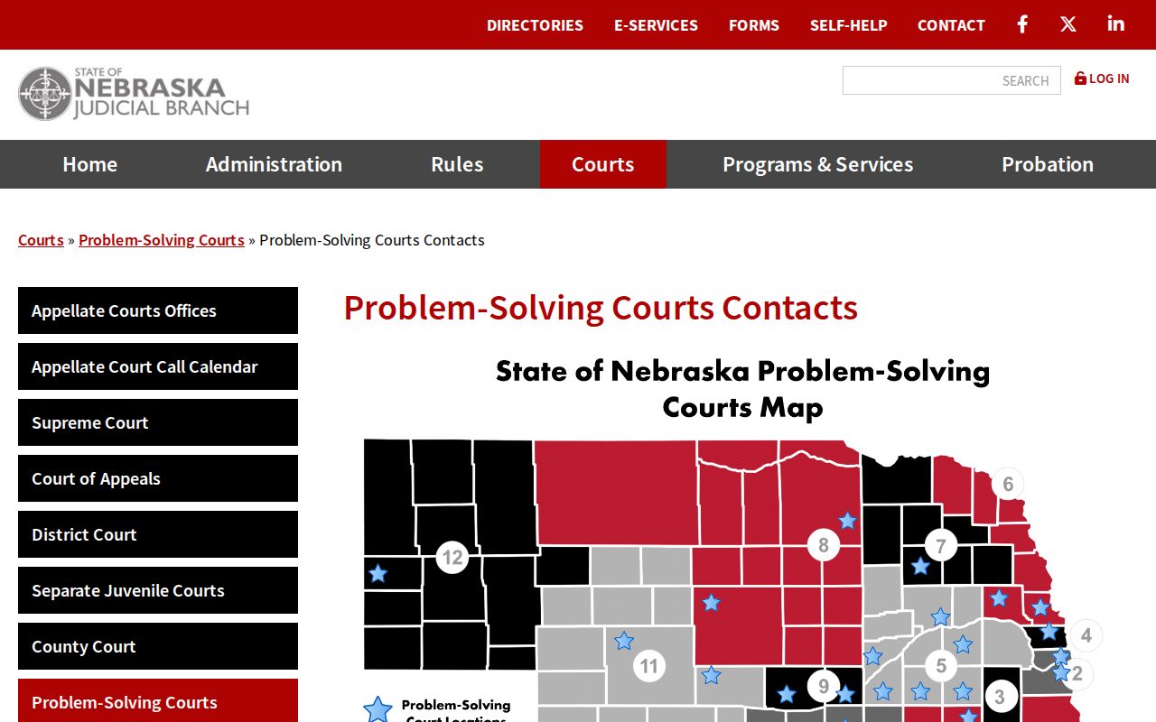 Cherry County criminal docket context from the North Central Problem-Solving Court contact listing