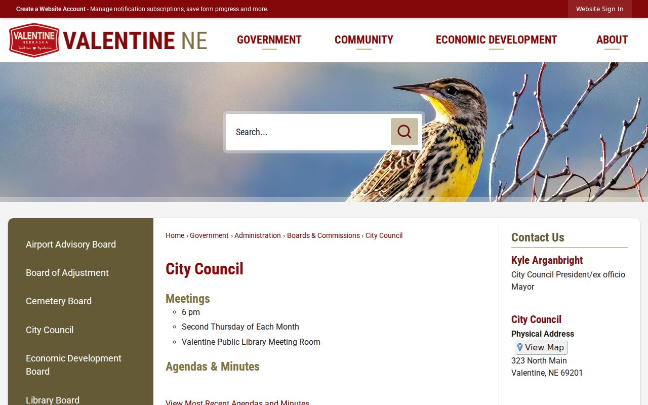 Valentine court docket city council source context